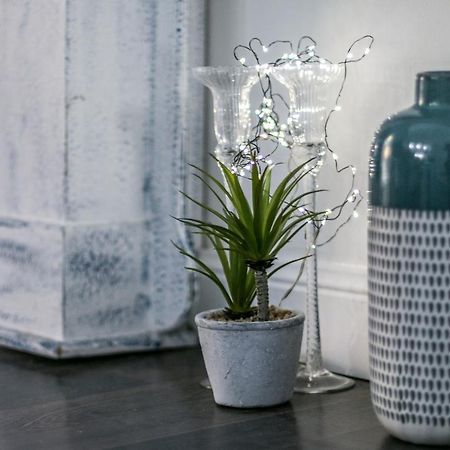 Family Apartments San Lorenzo 热那亚 外观 照片